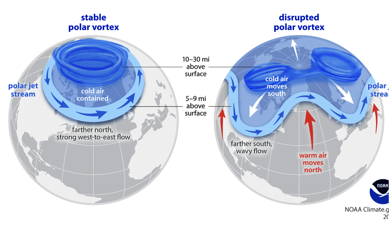 What in the world is going on with the polar vortexes?